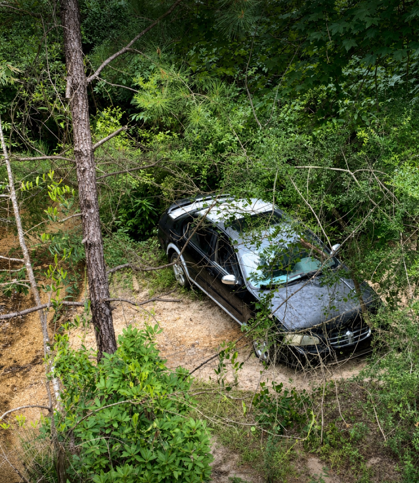 Recovering a vehicle from a wooded ditch